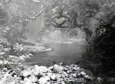 Robinson River Headwaters - Dion Pont